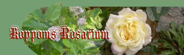 Koppoms Rosarium